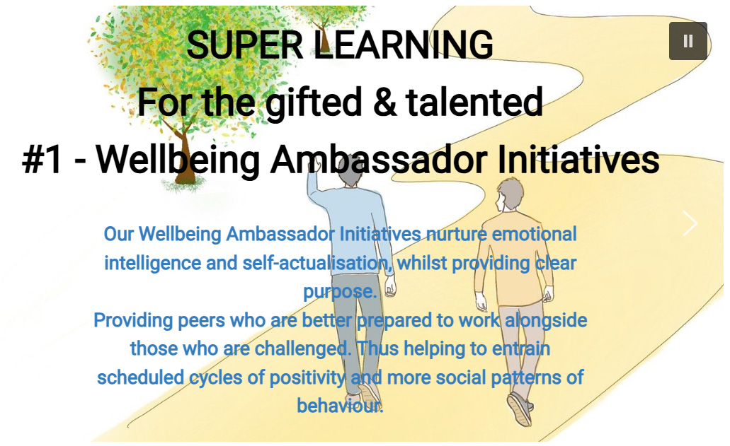 Wellbeing Ambassador Initiatives